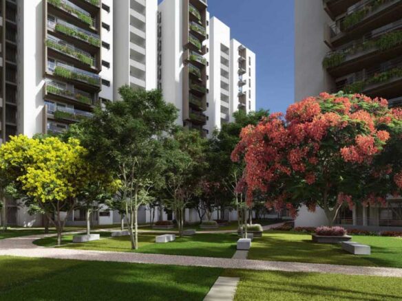 Central Park with tall tree plantation